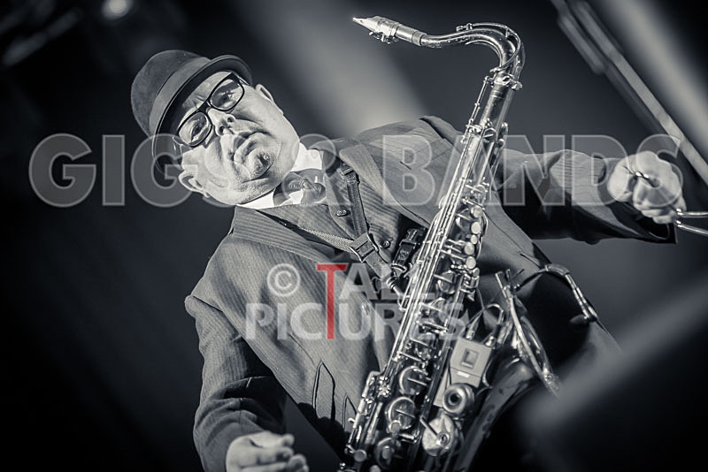 Madness-89 - MADNESS