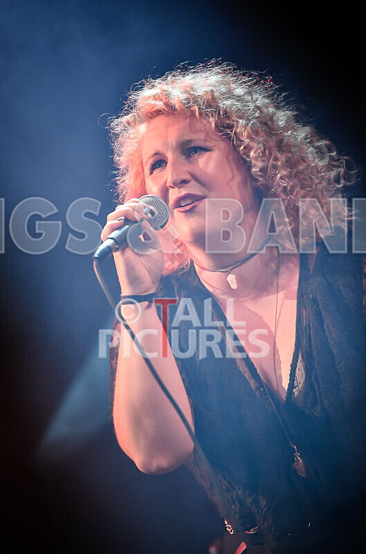 Jo Marsh-1 - THE GUESTS