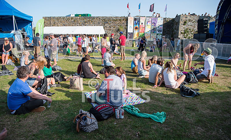 Vale Earth Fair 2017_SCENE-101 - VALE EARTH FAIR 2017_THE SCENE