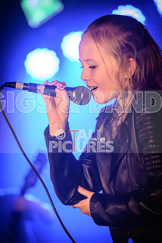 Hyperbolic Magnetism-23 - HYPERBOLIC MAGNETISM