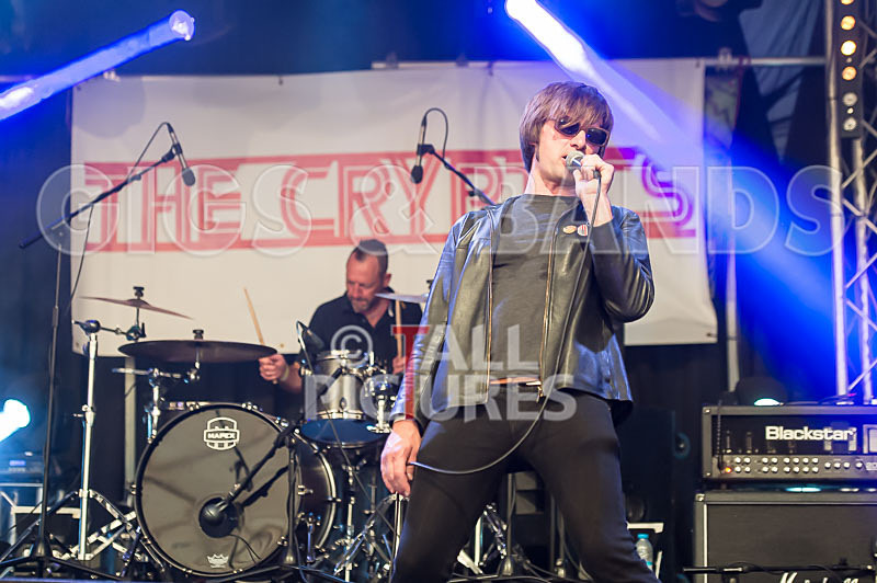 The Cryptics-65 - THE CRYPTICS