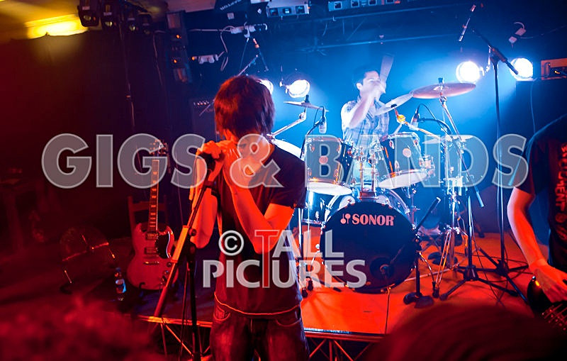 Feedback-12 - FEEDBACK