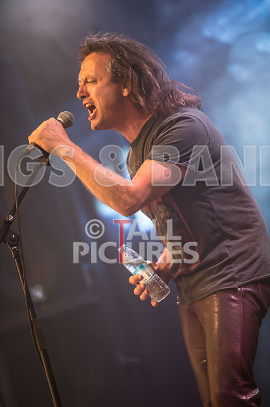 Rat Salad-4 - RAT SALAD