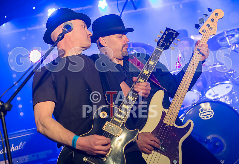 Peppered Ant Legs-208 - PEPPERED ANT LEGS