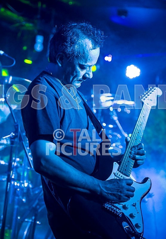 Elysium-245 - ELYSIUM