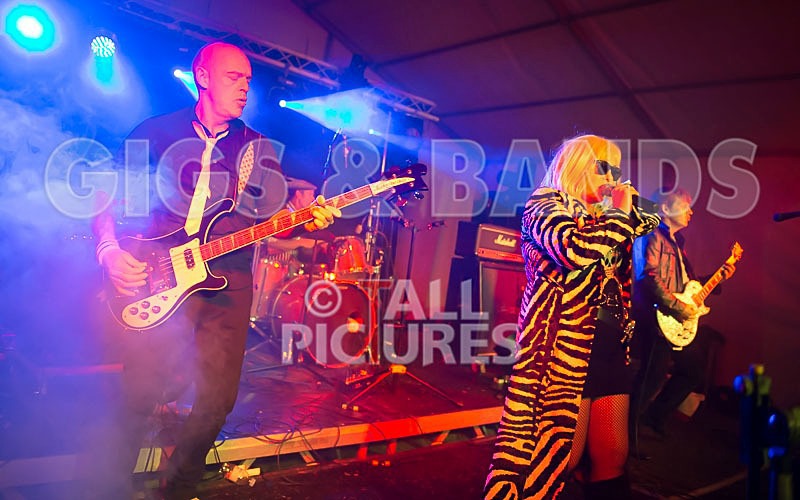 Blondied-7 - BLONDIED