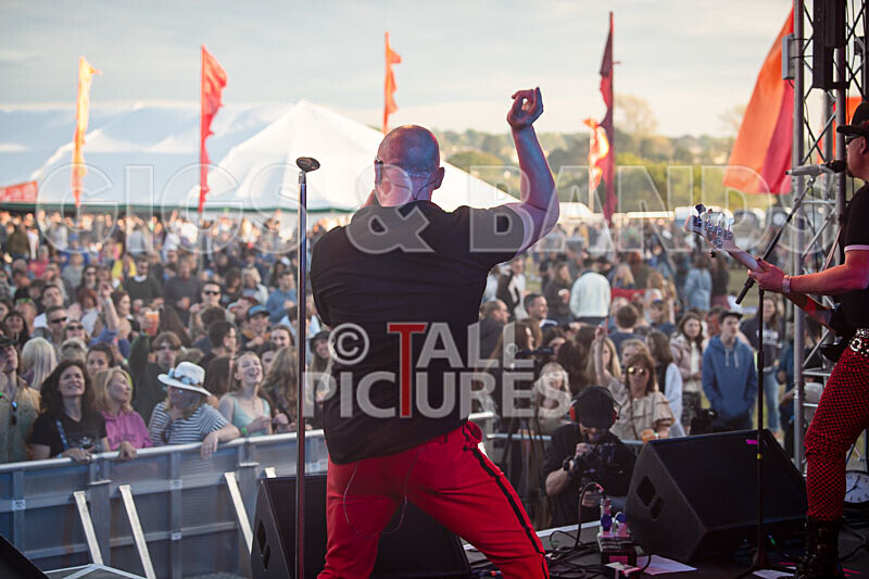 The Rubix-139 - THE RUBIX