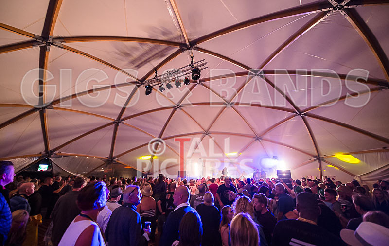 The Beat-61 - THE BEAT