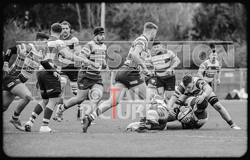 Guernsey Raiders v Dorking-9 - GUERNSEY RAIDERS v DORKING