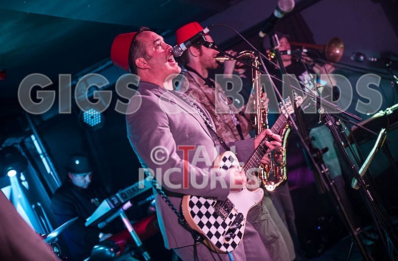 Sons of the Desert-156 - SONS OF THE DESERT