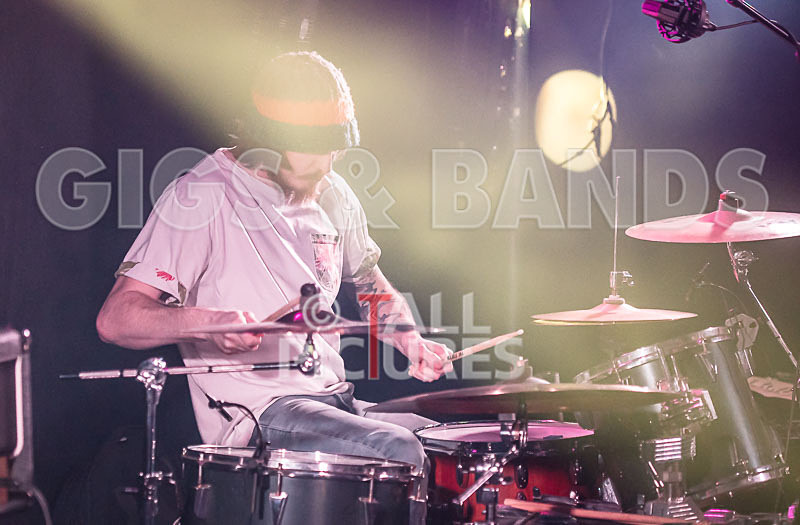 To the Woods-401 - TO THE WOODS