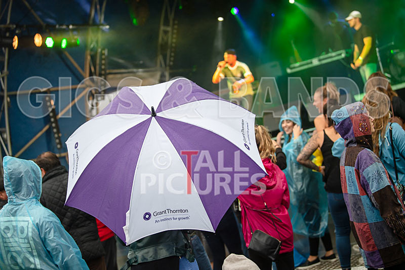 Vale Earth Fair 2018_SCENE-56 - VALE EARTH FAIR 2018_THE SCENE