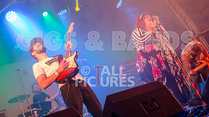 Static Alice-614 - STATIC ALICE