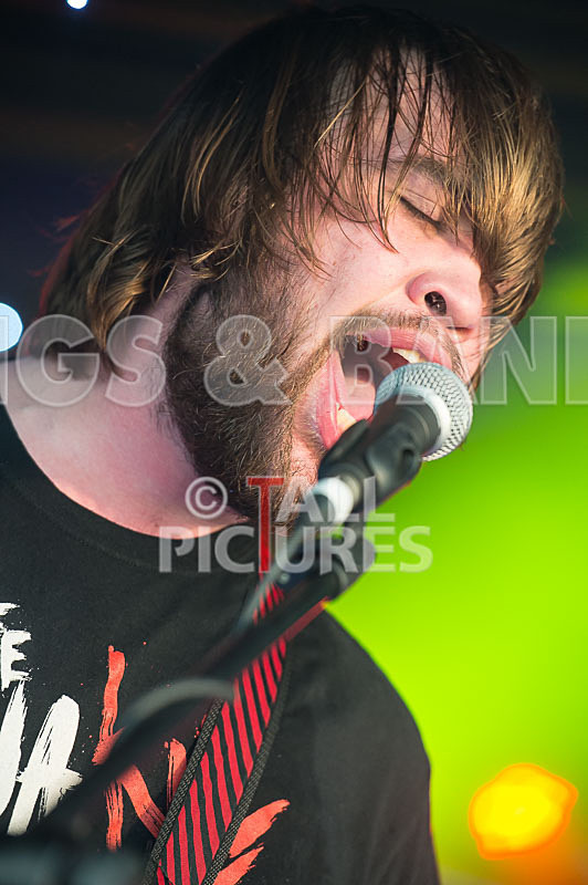 To the Woods-353 - TO THE WOODS