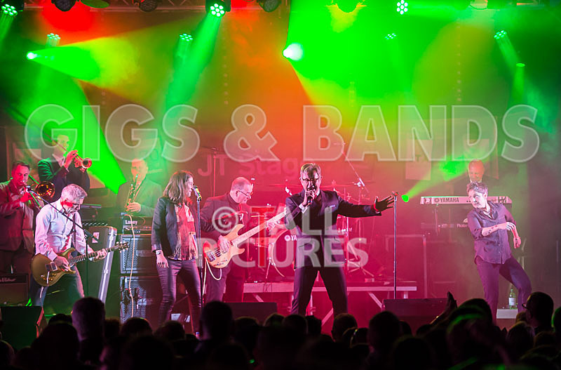 King Rat and the Soul Cats-157 - KING RAT AND THE SOUL CATS