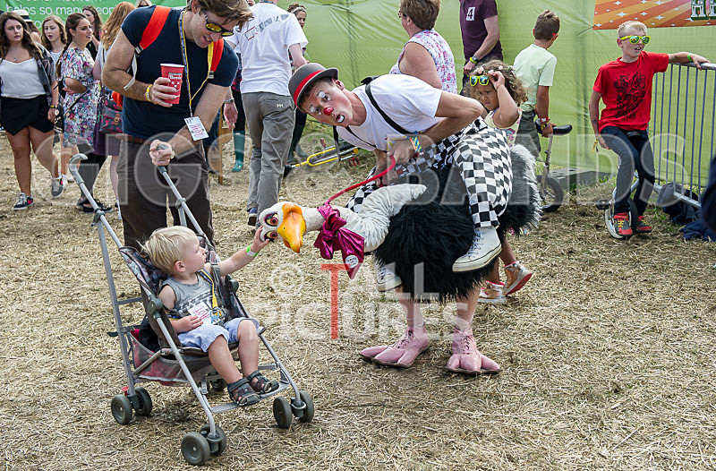 Jersey Live 2014_The Atmosphere-162 - JERSEY LIVE 2014_THE ATMOSPHERE_SUNDAY