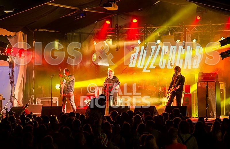 The Buzzcocks-39 - BUZZCOCKS