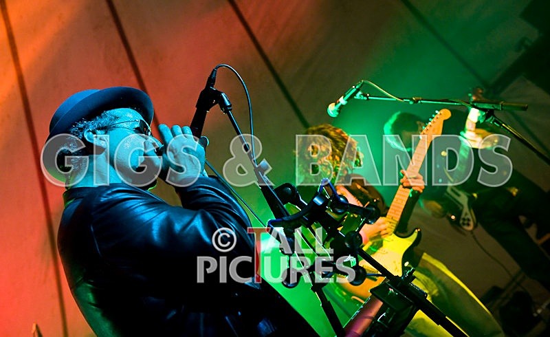 Greenman_Music-91 - GREENMAN CHAOS FESTIVAL 2008 BANDS