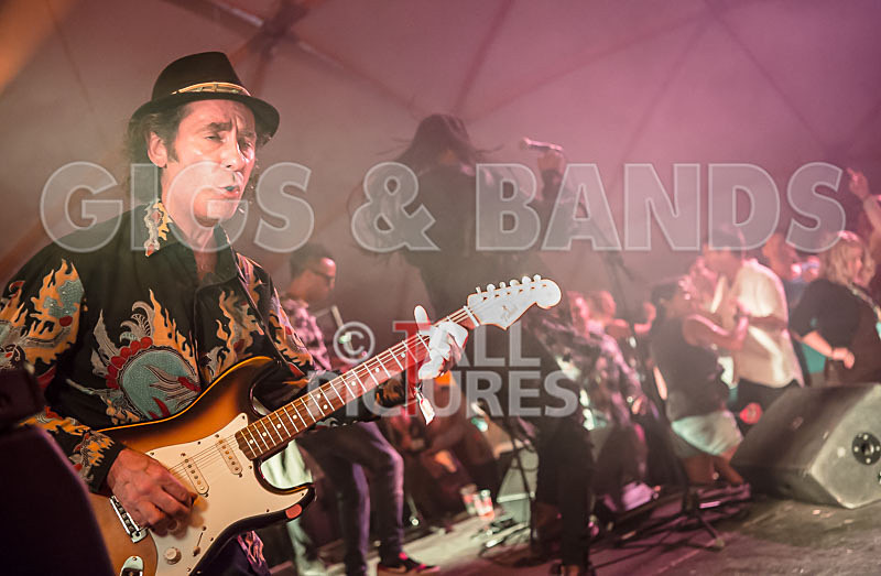 The Beat-60 - THE BEAT