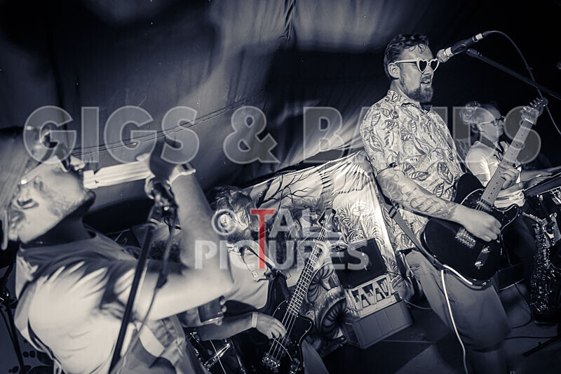 Honest Crooks-247 - HONEST CROOKS