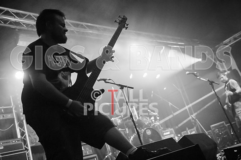 Demise of Sanity-32 - DEMISE OF SANITY