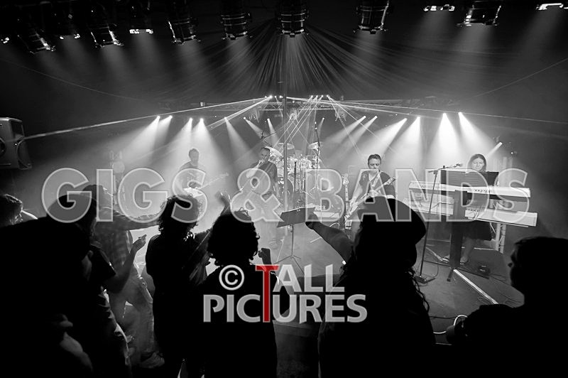 Elysium-151 - ELYSIUM