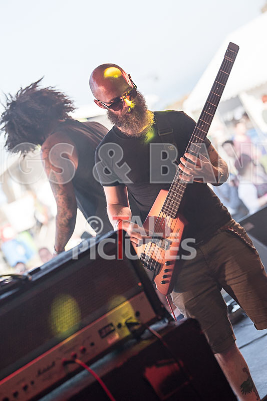 Tree House Fire-14 - TREE HOUSE FIRE