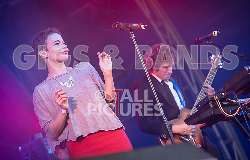 Vienna Ditto-7 - VIENNA DITTO