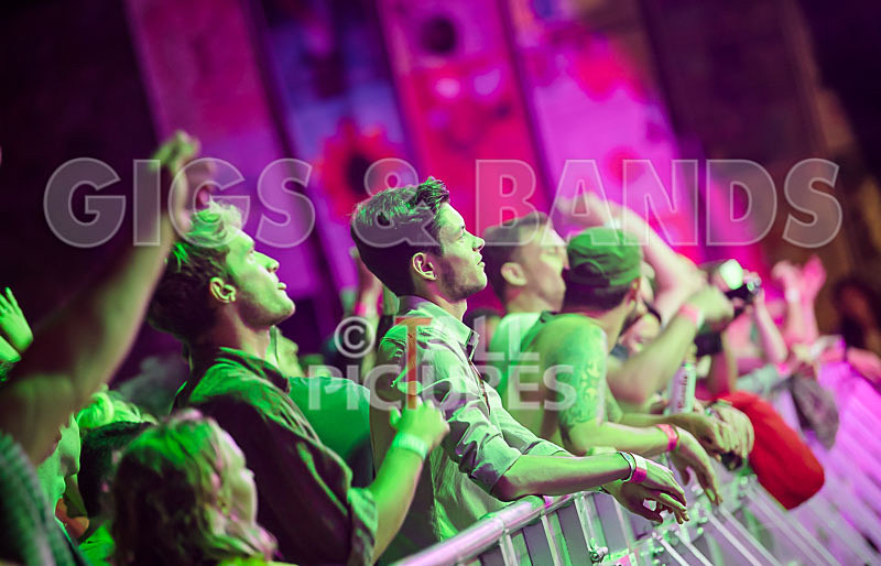 Vale Earth Fair 2017_SCENE-116 - VALE EARTH FAIR 2017_THE SCENE