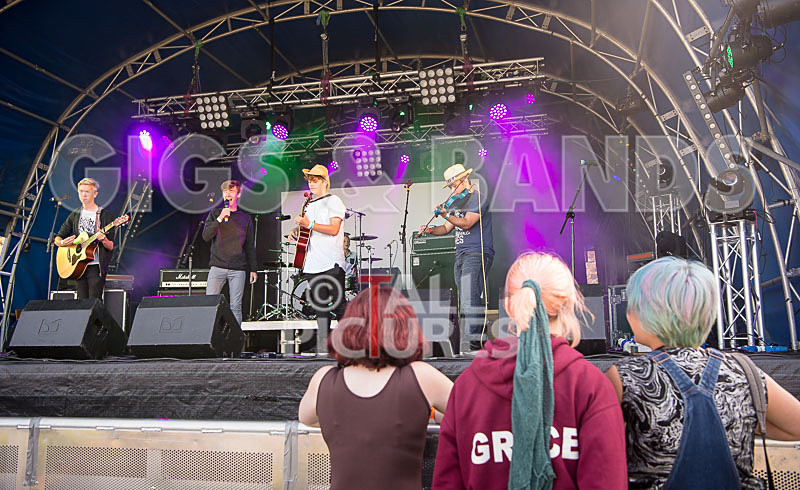 Acoustic Accord-14 - ACOUSTIC ACCORD