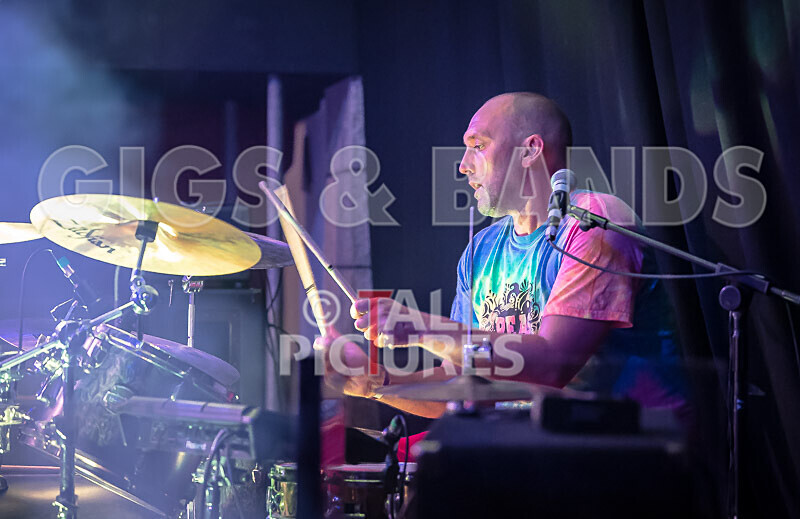 Buffalo Huddleston-528 - BUFFALO HUDDLESTON