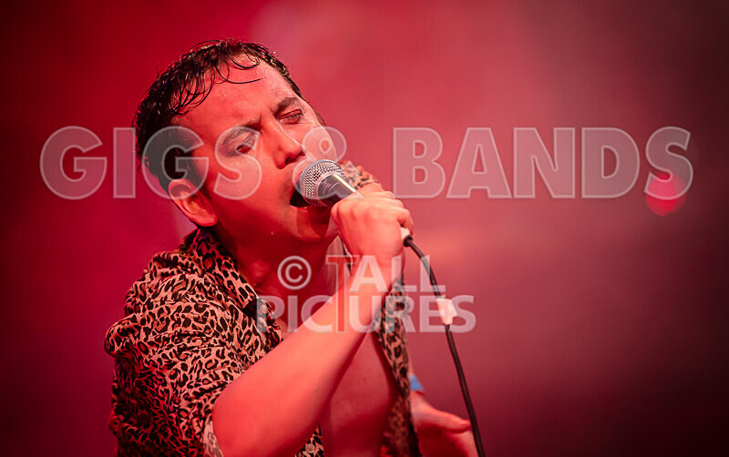 Pigsx7-77 - PIGS PIGS PIGS PIGS PIGS PIGS PIGS