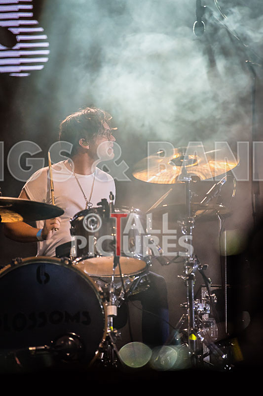 Blossoms-16 - BLOSSOMS