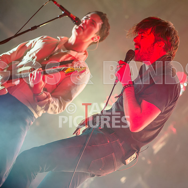 The Vaccines-32 - THE VACCINES