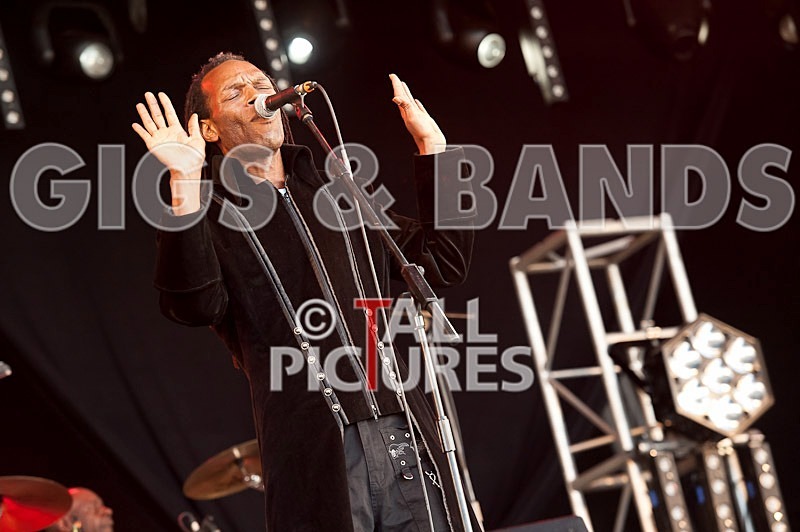 The Beat-44 - THE BEAT