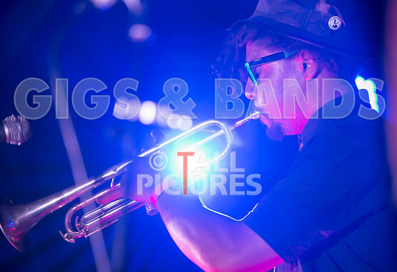 The Recks-377 - THE RECKS