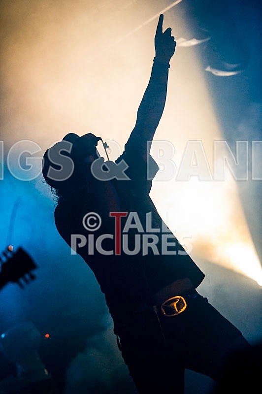 Viking Skull-21 - VIKING SKULL