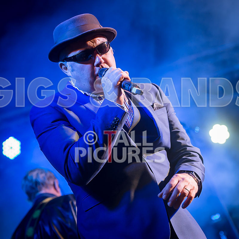 Sons of the Desert-263 - SONS OF THE DESERT