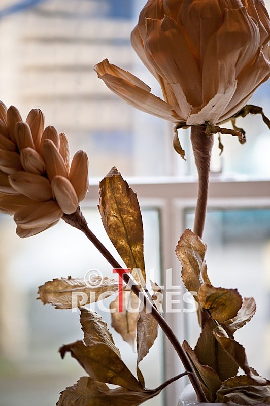 Duke of Normandie Hotel-118 - DUKE OF NORMANDIE HOTEL