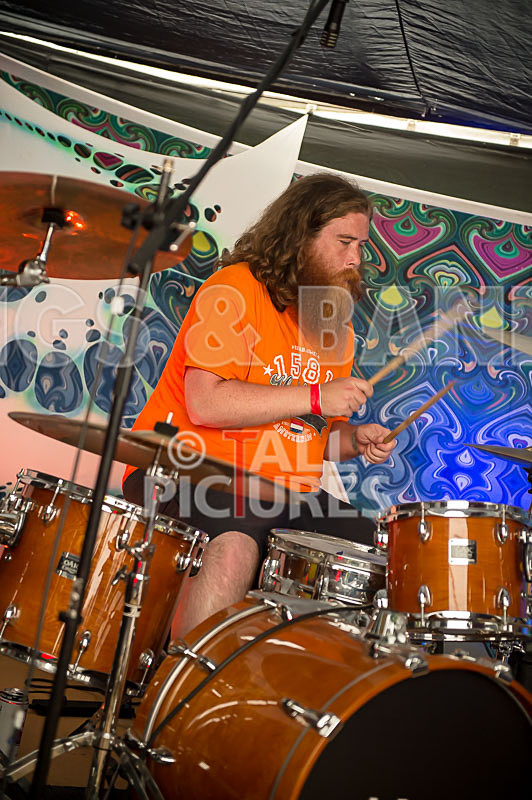 Honest Crooks-33 - HONEST CROOKS