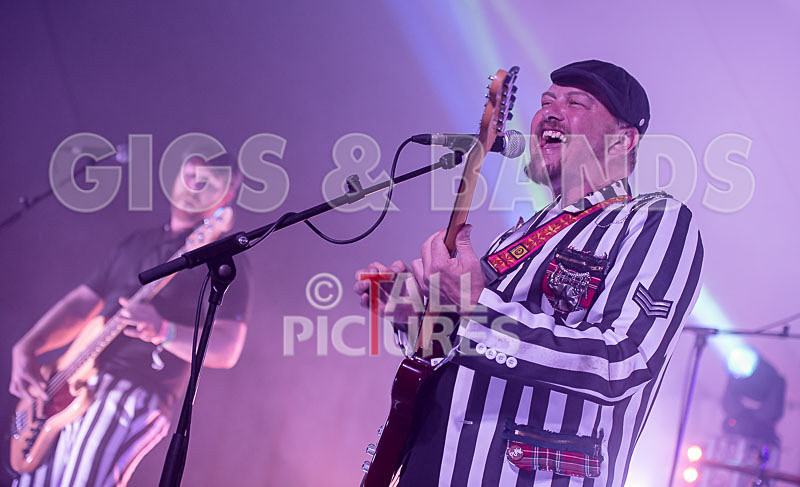 The Smooth Hounds-6 - THE SMOOTH HOUNDS