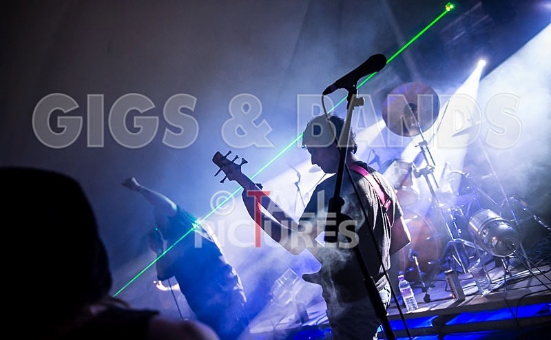 Stone Em All-65 - STONE EM ALL