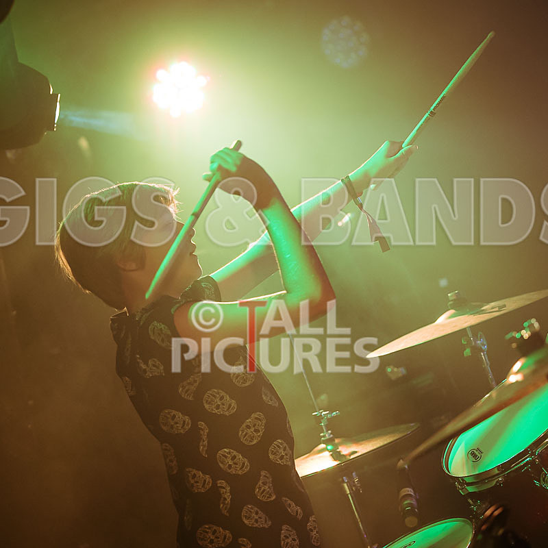 The Lemmings-20 - THE LEMMINGS