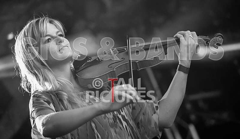 Buffalo Huddleston-75 - BUFFALO HUDDLESTON