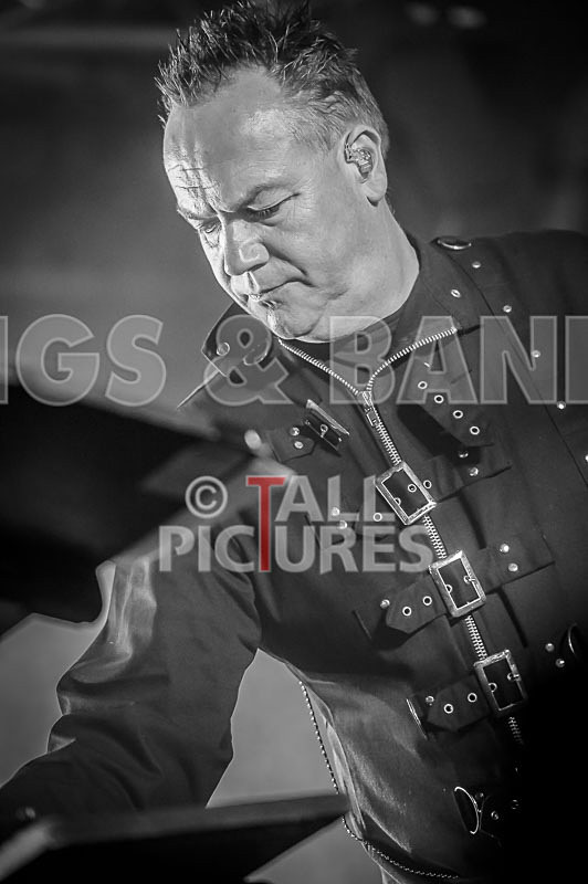 Fade to Grey-316 - FADE TO GREY