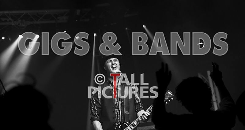 Peppered Ant Legs-75 - PEPPERED ANT LEGS