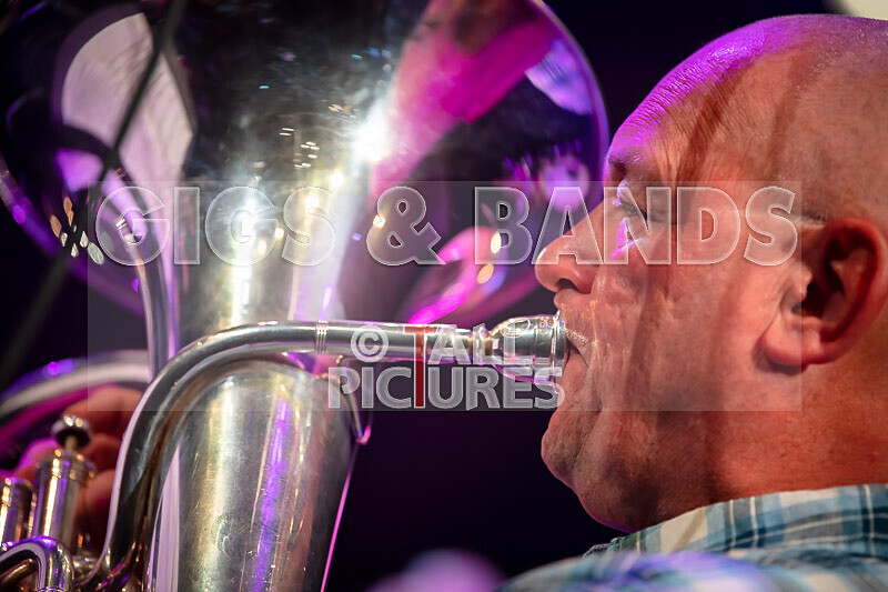 Jazz for Andy-50 - JAZZ FOR ANDY