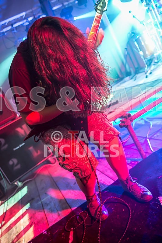 Stone Em All-59 - STONE EM ALL