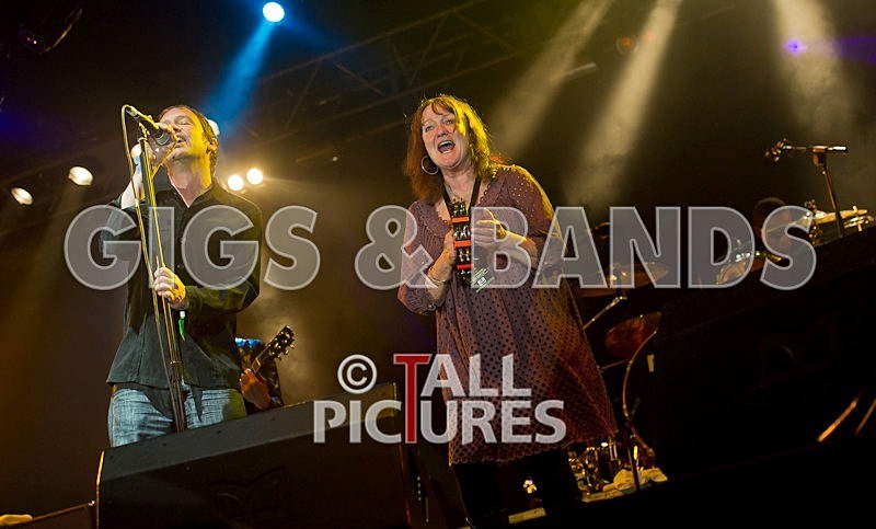 Guernsey Festival Scene-90 - THE GUERNSEY FESTIVAL ATMOSPHERE AND SCENE