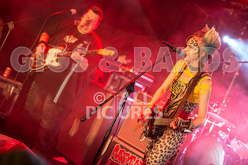 Vale Earth Fair 2015-11 - VALE EARTH FAIR 2015 - THE PRESS EDIT